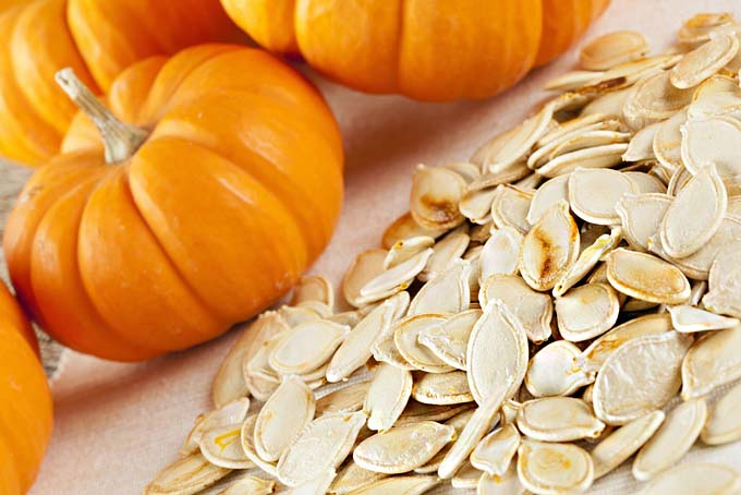 Pumpkin_Seeds