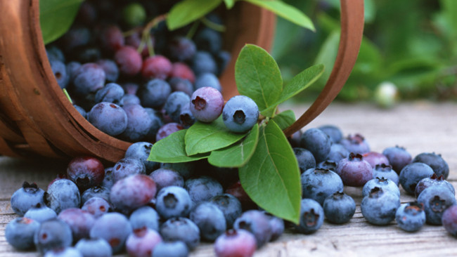 Blueberries