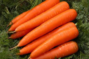 Carrots