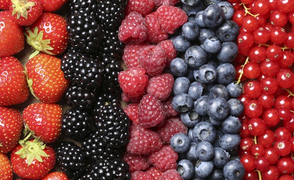 berries